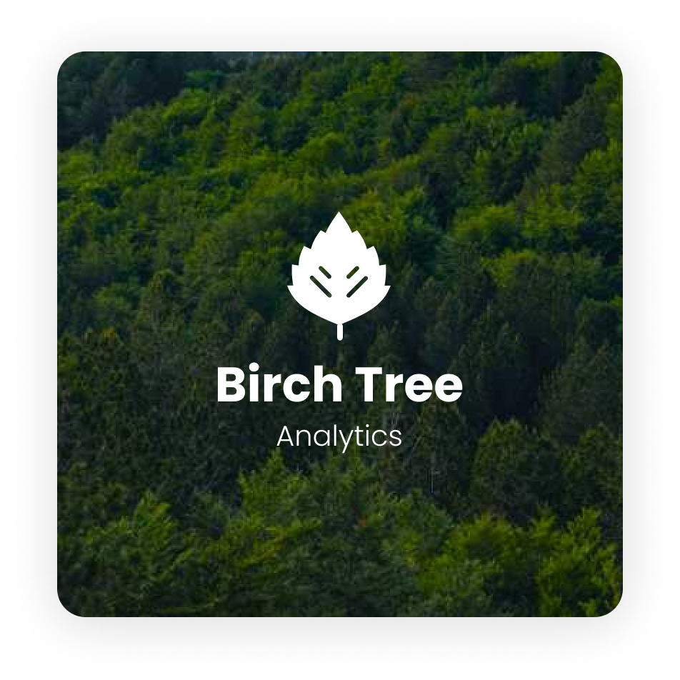 Birch Tree Analytics