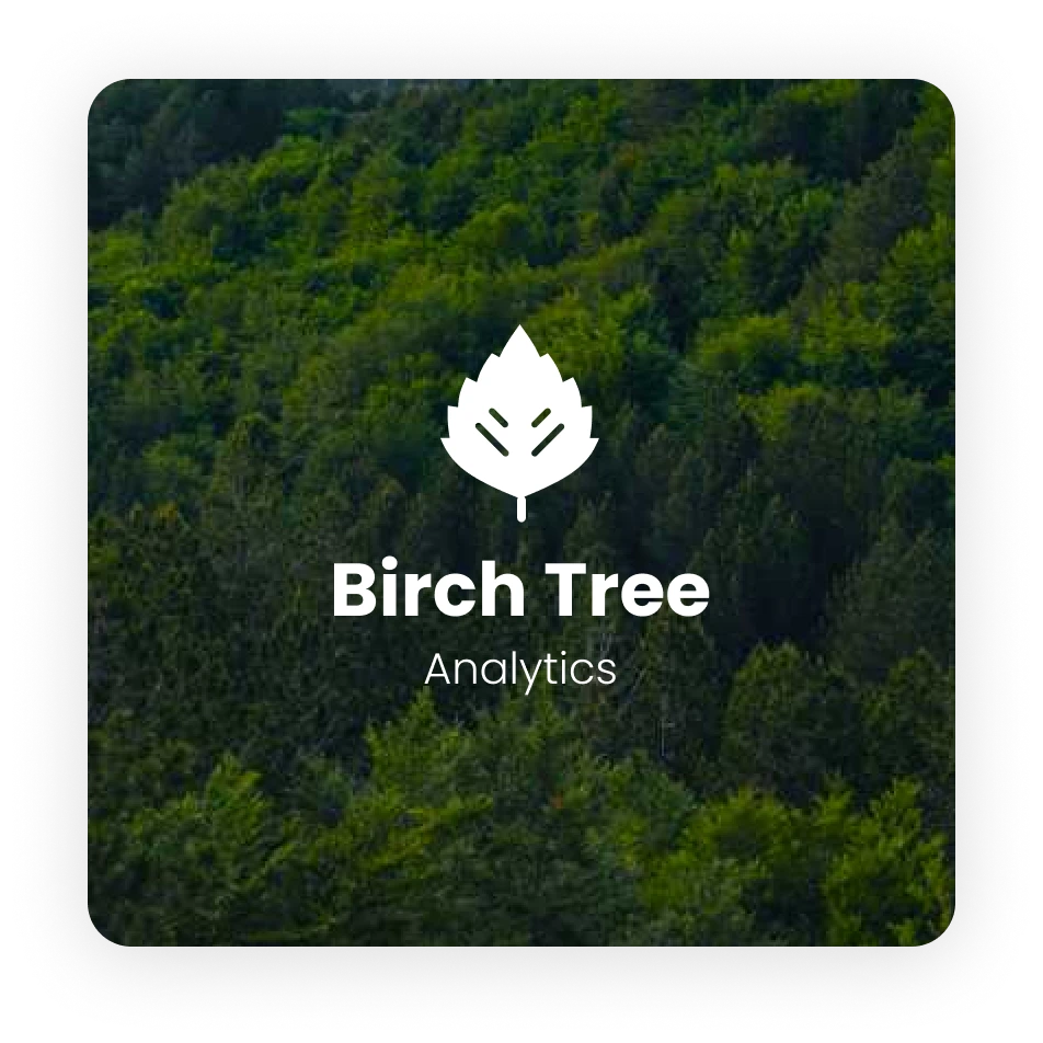 Birch Tree Analytics